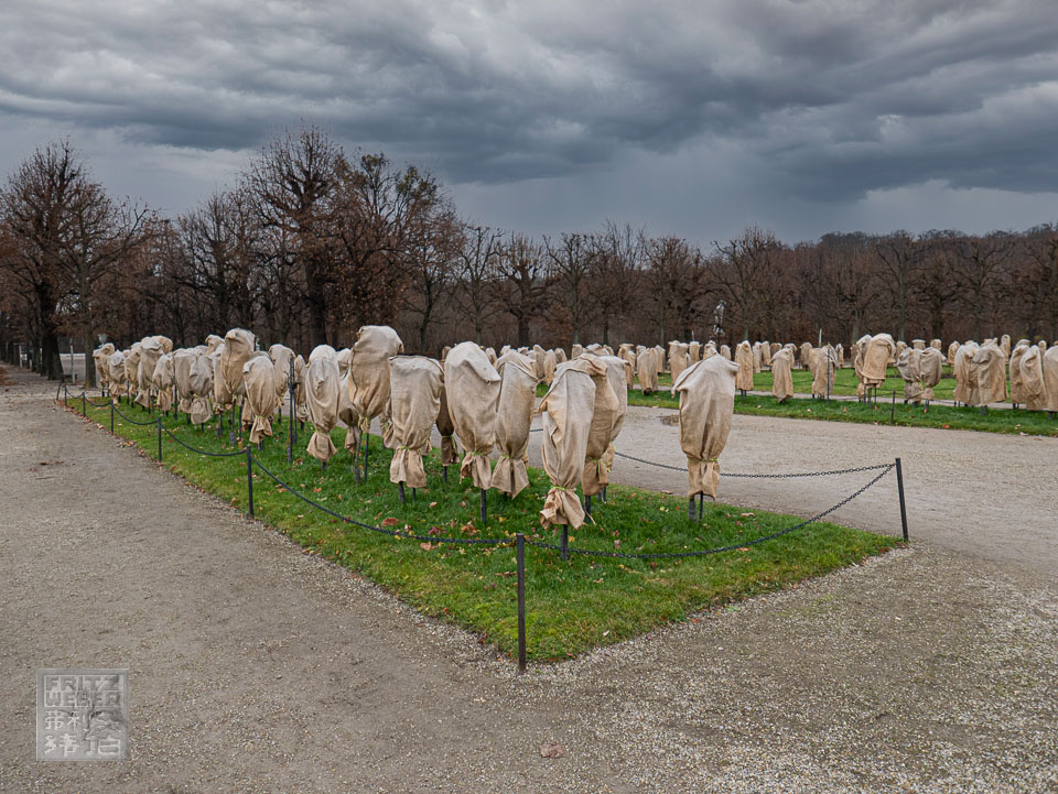 unbenannt-1000355-Bearbeitet.jpg