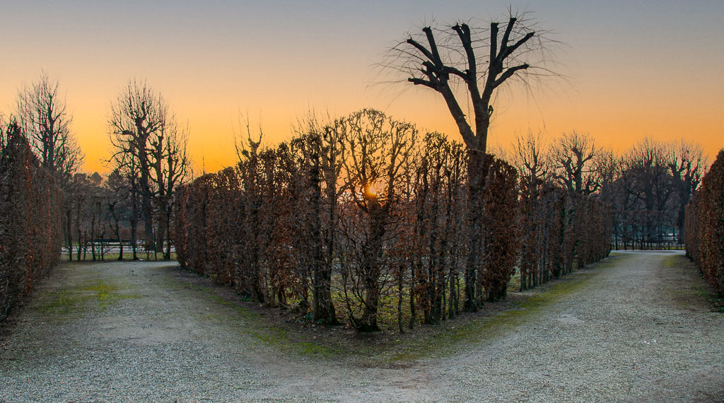 Schönbrunn_Dez_018-Verbessert-RR-Bearbeitet.jpg