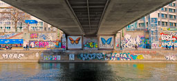 Schmetterlinge_Graff__DSC0567-3620150308.jpg