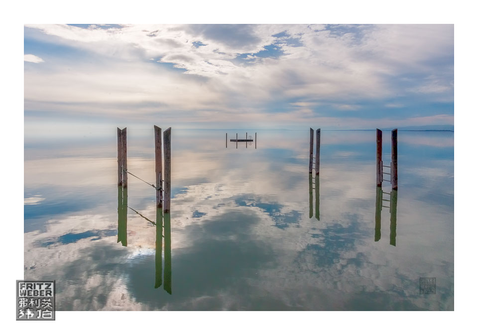 Neusiedler_See_Pfähle.jpg